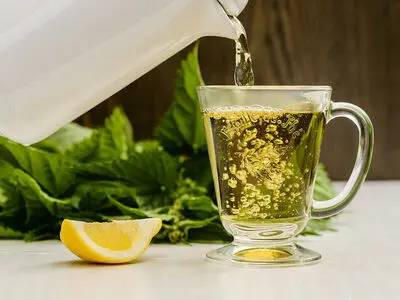 سم‌زدایی بدن با دمنوش شگفت انگیز برگ گزنه