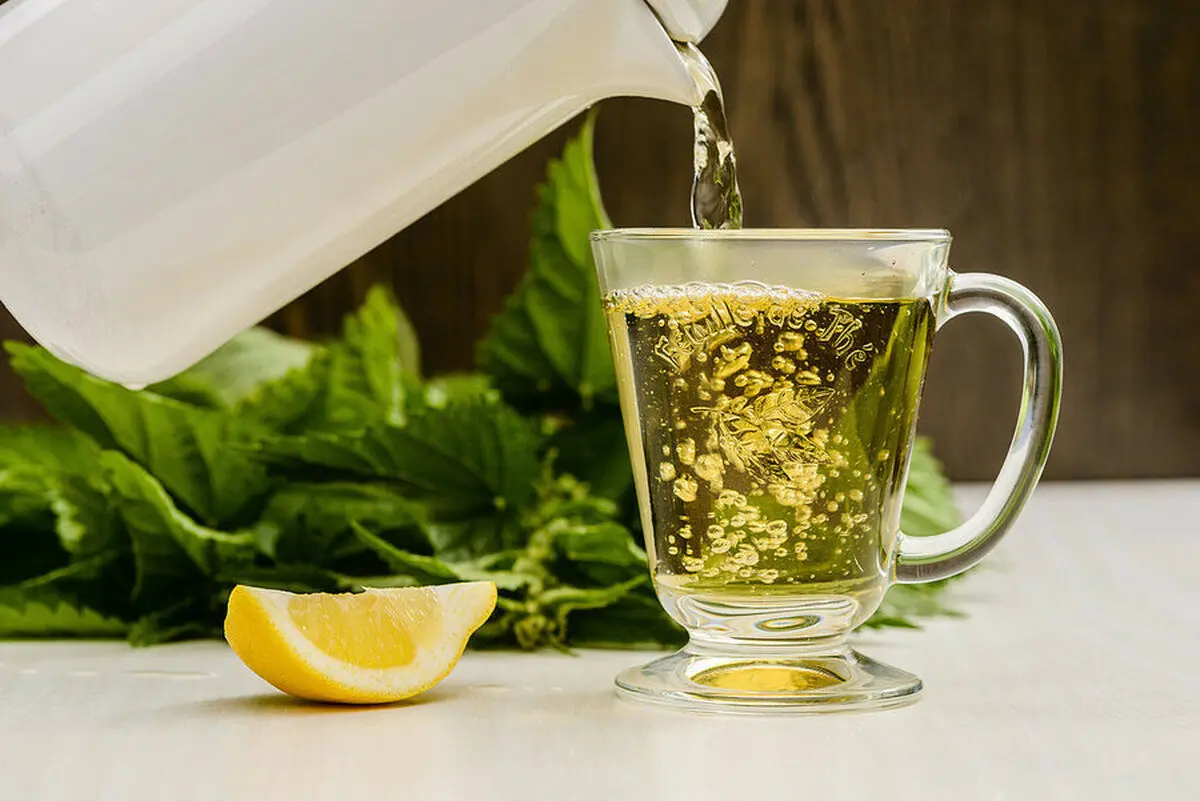 سم‌زدایی بدن با دمنوش شگفت انگیز برگ گزنه