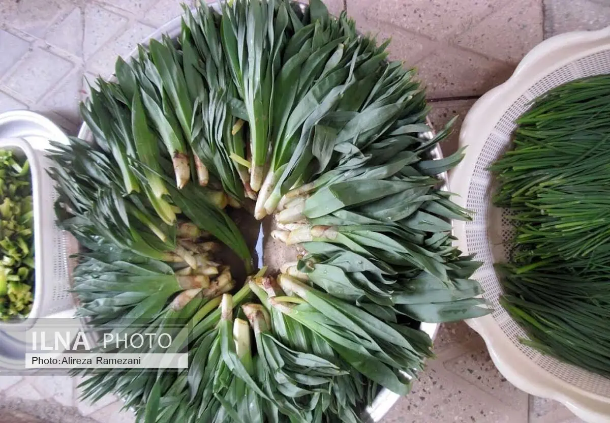 سبزی‌ کوهی آلوده یک خانواده را روانه بیمارستان چالدران کرد
