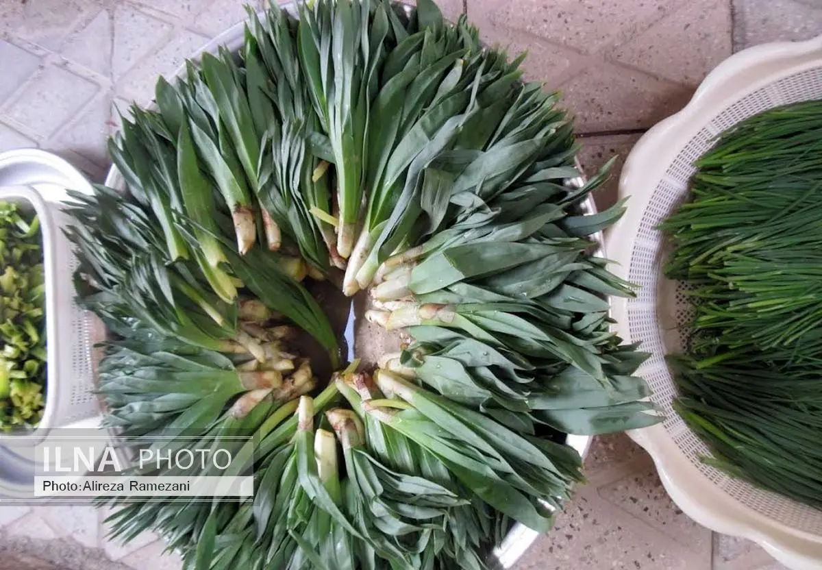 سبزی کوهی آلوده یک خانواده را روانه بیمارستان چالدران کرد