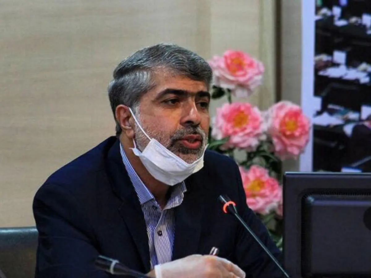 مجلس حامی جدی صنعت خودرو است/ تأکید بر نقش موثر سایپا در رونق تولید کشور
