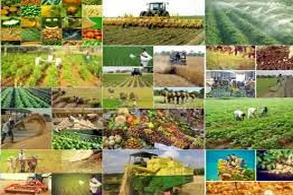 9 پروژه طرح کشاورزی در شهرکرد به بهره برداری رسید