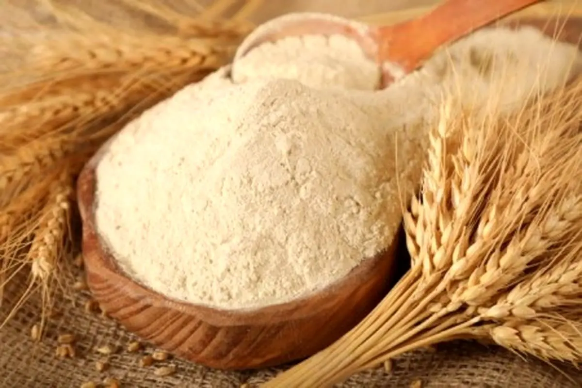 چگونه شپشک و حشرات موجود در آرد را از بین ببریم؟