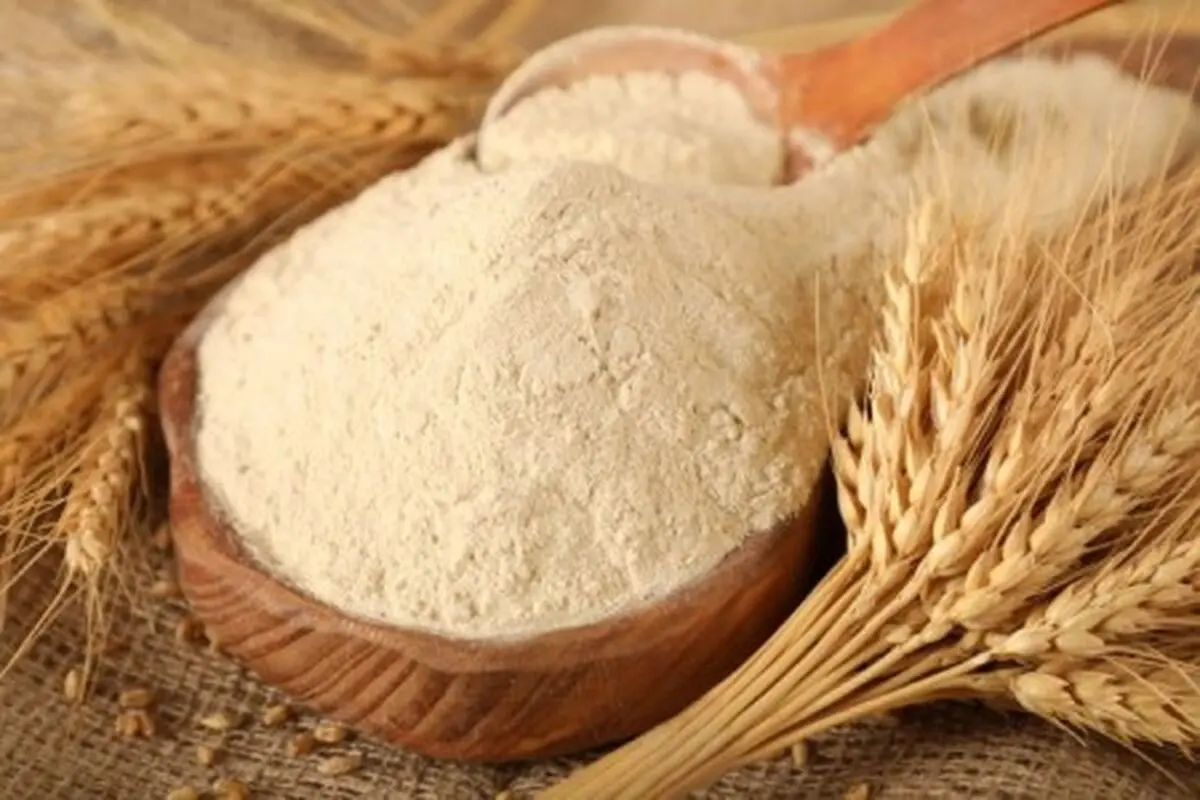 چگونه شپشک و حشرات موجود در آرد را از بین ببریم؟