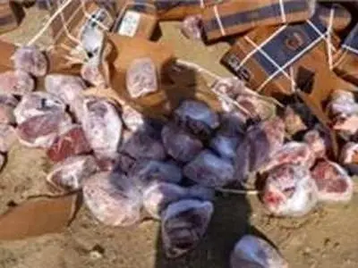 معدوم‌سازی ۵۸ هزار کیلوگرم فرآورده خام دامی غیربهداشتی در البرز
