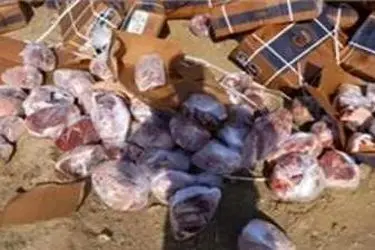 معدوم‌سازی ۵۸ هزار کیلوگرم فرآورده خام دامی غیربهداشتی در البرز