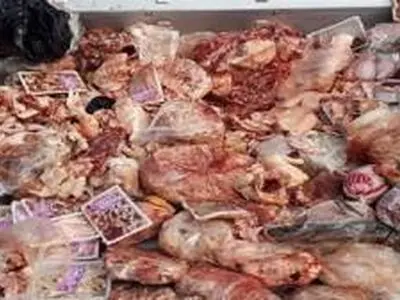  ۵۰تن فرآورده خام دامی غیربهداشتی در آذربایجان شرقی معدوم‌سازی شد
