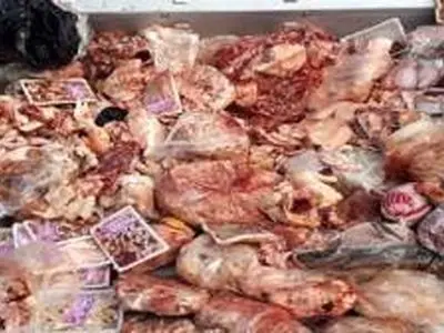  ۵۰تن فرآورده خام دامی غیربهداشتی در آذربایجان شرقی معدوم‌سازی شد