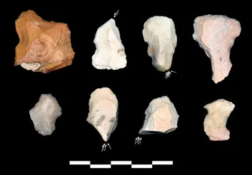 کشفیاتی درباره سه و نیم میلیون تا ۱۲ هزار سال قبل/ مردمان پارینه‌سنگ گوزن، گورخر، لاک‌پشت و حلزون می‌خوردند/ استفاده از زیورآلات نشانه انسان هوشمند است