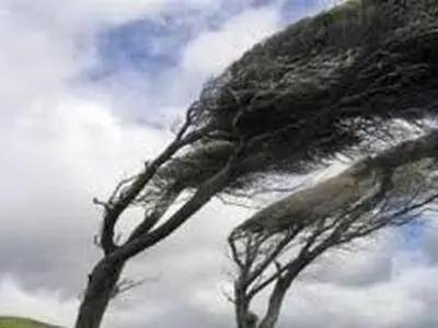 وزش بادهای شدید مجسمه غول‌پیکر برزیل را واژگون کرد + فیلم
