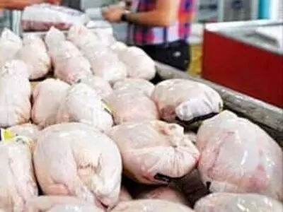 جریمه نقدی ۶ واحد متخلف در بازار مرغ شیراز  