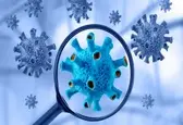 آخرین وضعیت کرونا در کشور/ شناسایی ۶۷ بیمار جدید در شبانه روز گذشته    