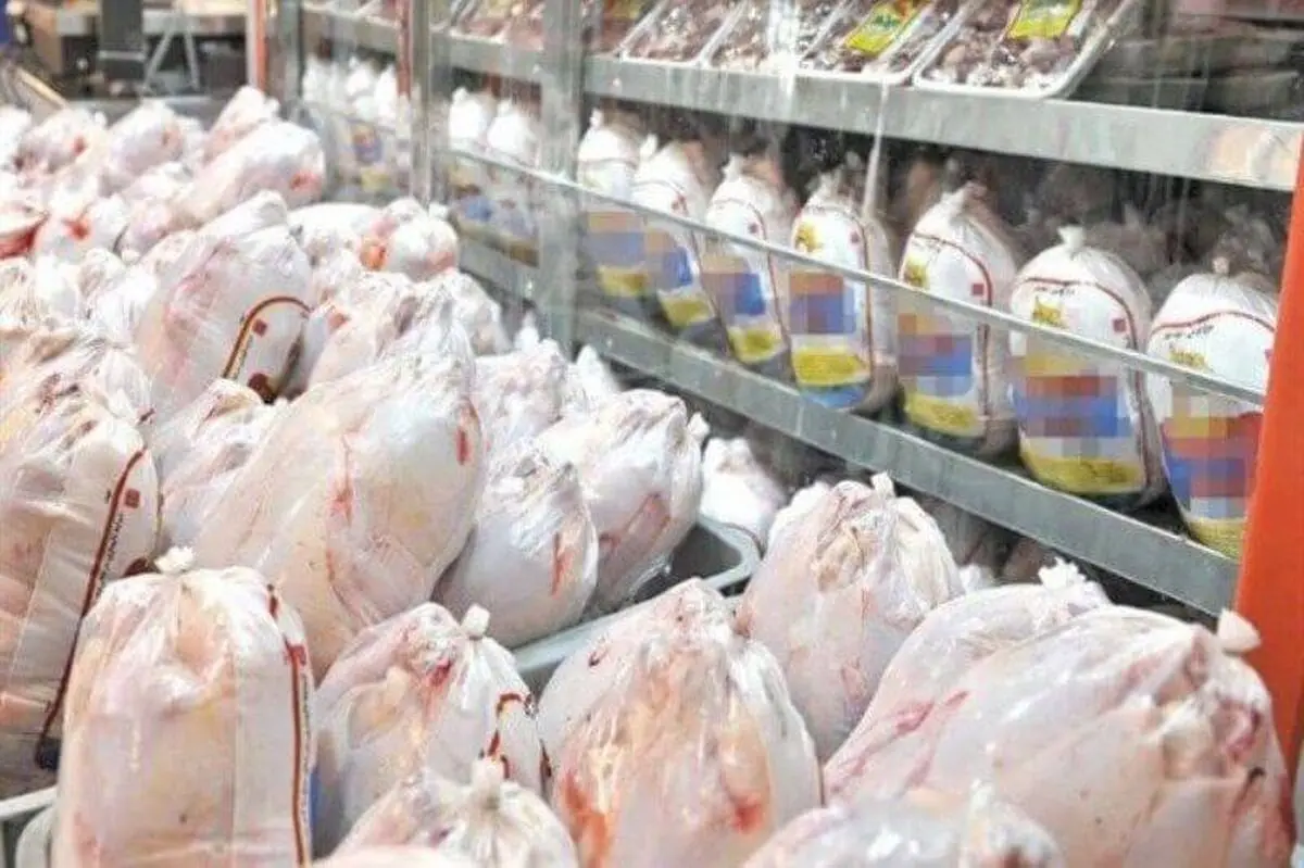 استمرار نظارت بر بازار مرغ تا رسیدن به قیمت مصوب/ جریمه ۶ میلیارد ریالی متخلف
