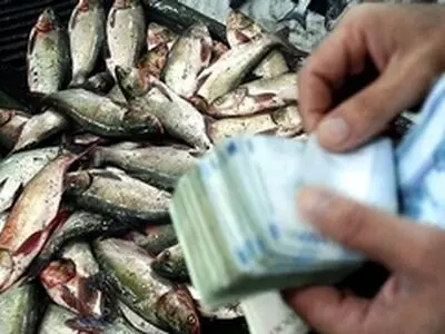 قیمت روز انواع ماهی در بازار