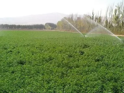 کردستان جزو چهار استان کشور در اجرای طرح کشاورزی حفاظتی 