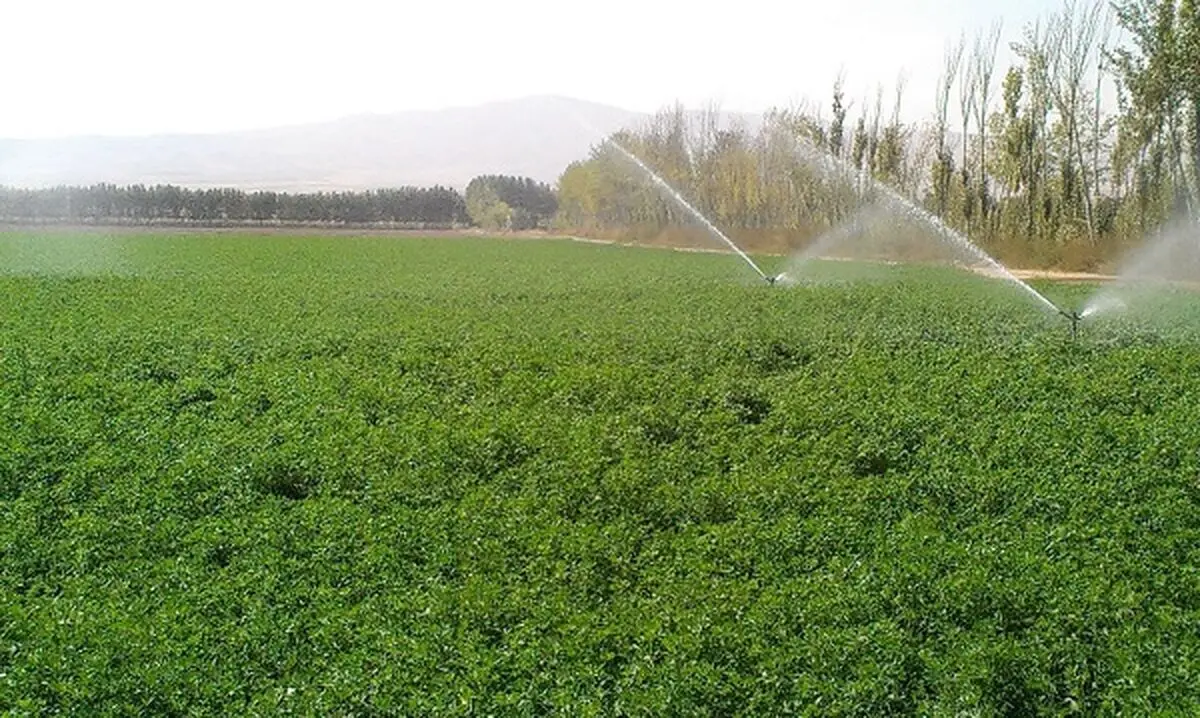 کردستان جزو چهار استان کشور در اجرای طرح کشاورزی حفاظتی 