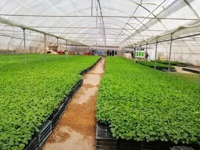 ۴۸ پروژه ۵۴۲ میلیاردی در  هفته جهاد کشاورزی به بهره‌برداری می‌رسد