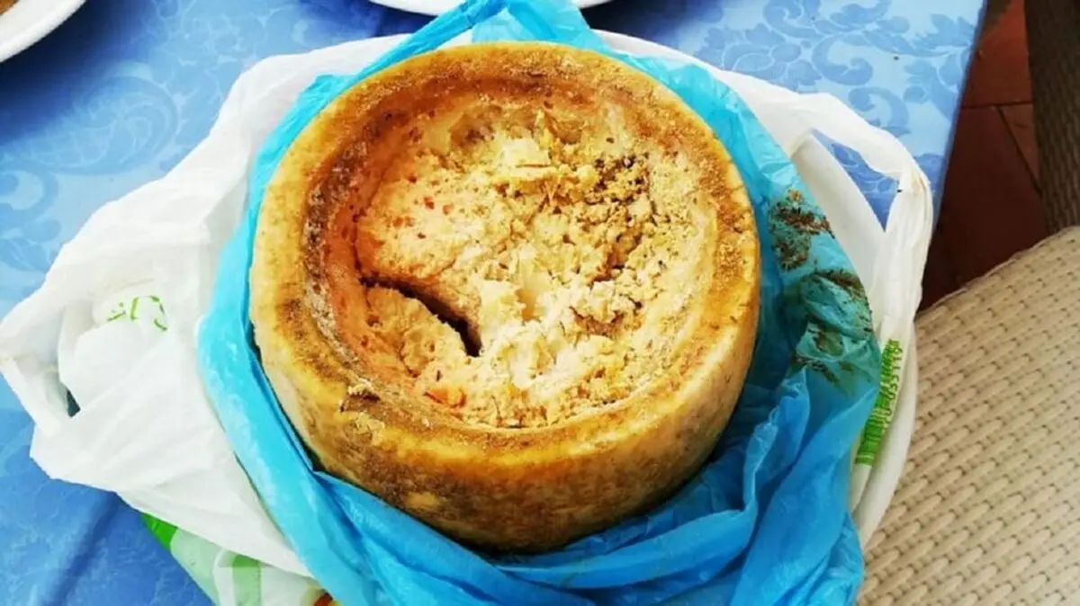 با خطرناک‌ترین پنیر دنیا آشنا شوید