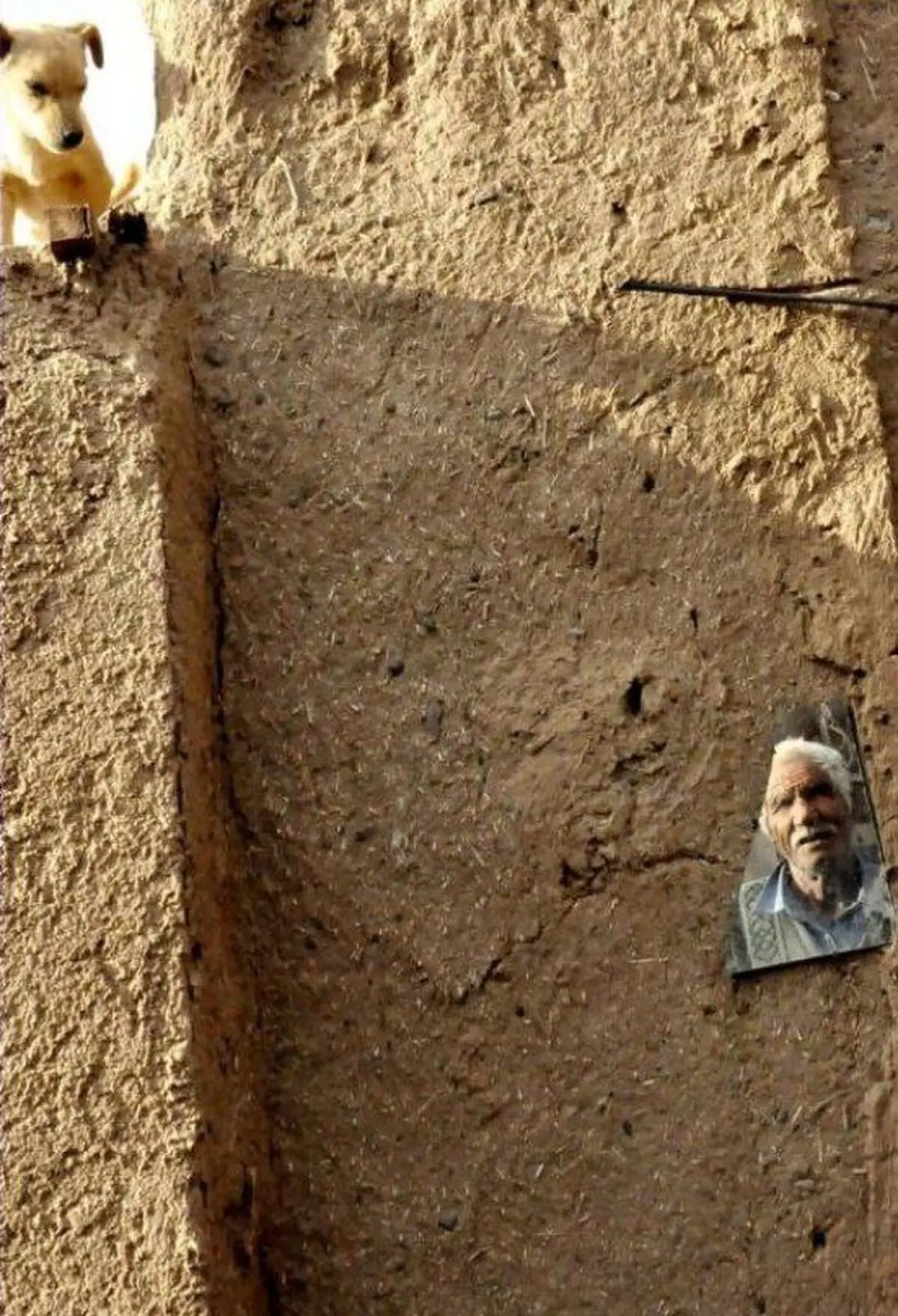نشان طلای پنجمین جشنواره ‌بین‌المللی "آرتونیست" به عکاس نیشابوری رسید