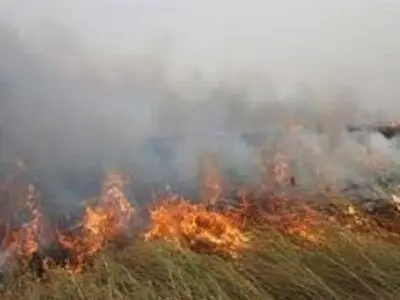 بررسی‌ رهاسازی آب در بخش عراقی تالاب هورالعظیم از سوی ایران/ عراق  برای مهار آتش باید خاکریز‌ ایجاد کند