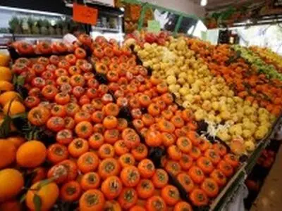 در جزیره جایی برای گرانفروشی نیست/ اجرای طرح تشدید نظارت و کنترل نرخ عرضه میوه شب یلدا در کیش