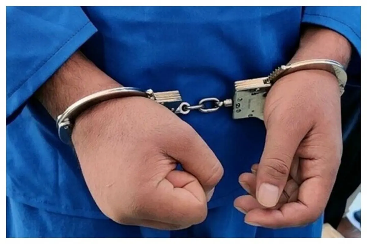 دستگیری عاملان رعب وحشت در خیابان کارگر تهران

