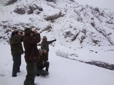 افزایش 20 درصدی کل و بز در سرشماری زمستانه محیط زیست البرز