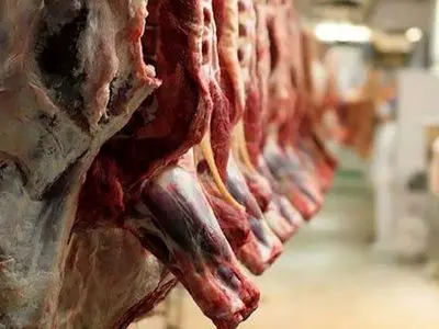 سلامت فرآورده‌های خام دامی تضمین می‌شود
