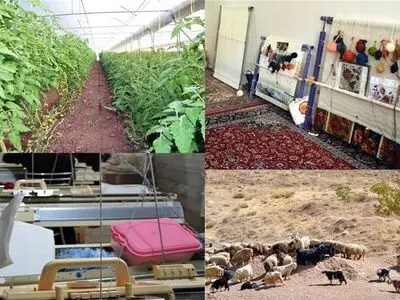 زمینه اشتغال بیش از ۱۲ هزار نفر در آذربایجان غربی فراهم شده است