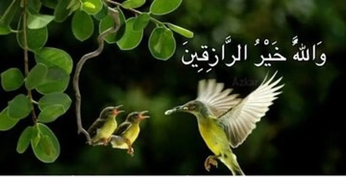 چگونه رزق و روزی با برکت و زیاد داشته باشیم؟