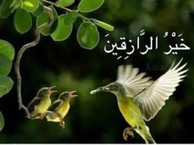 چگونه رزق و روزی با برکت و زیاد داشته باشیم؟