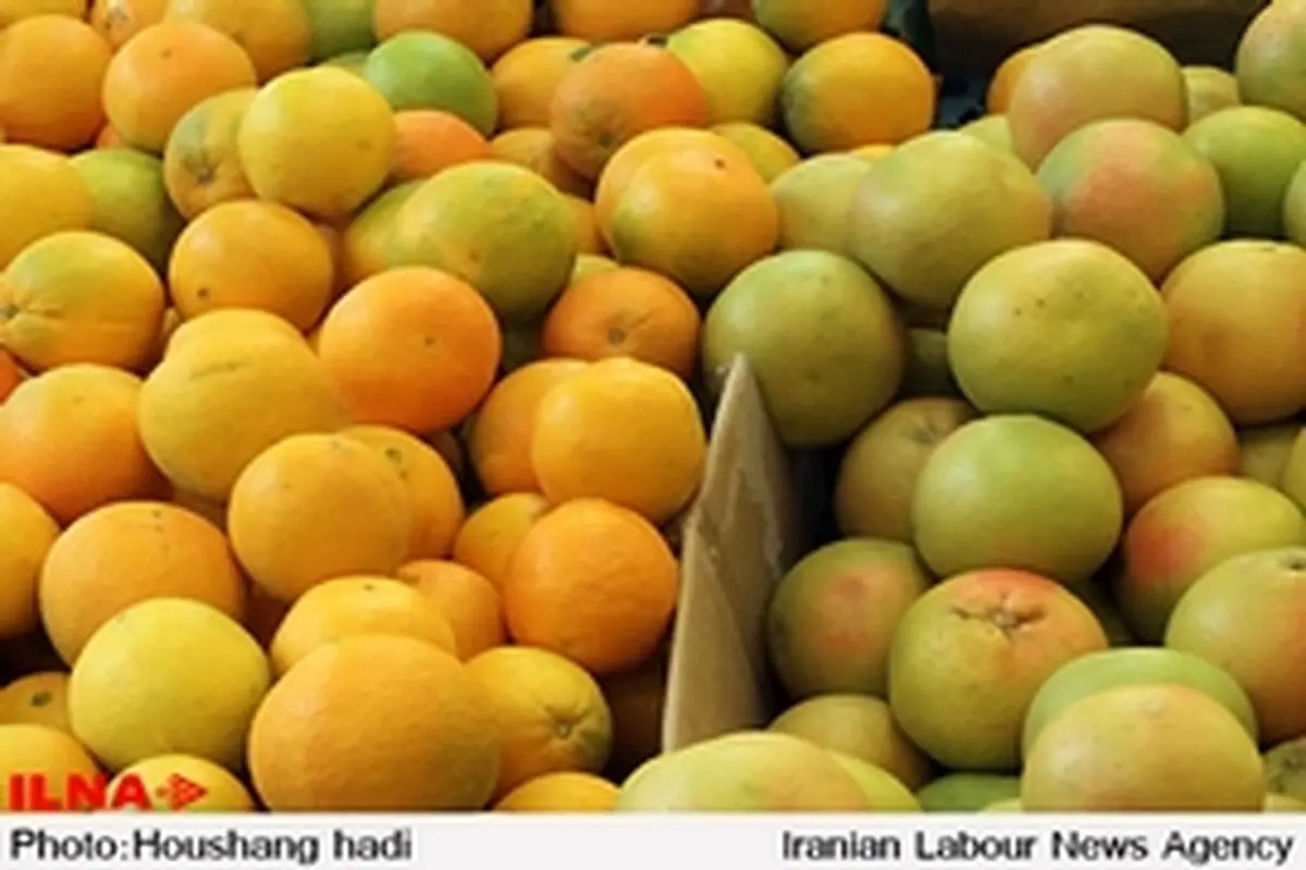 سهم ایران در روسیه اندک است