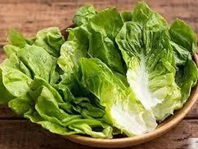 رازهای خوردن کاهو برای لاغری سریع و آسان را بدانید 