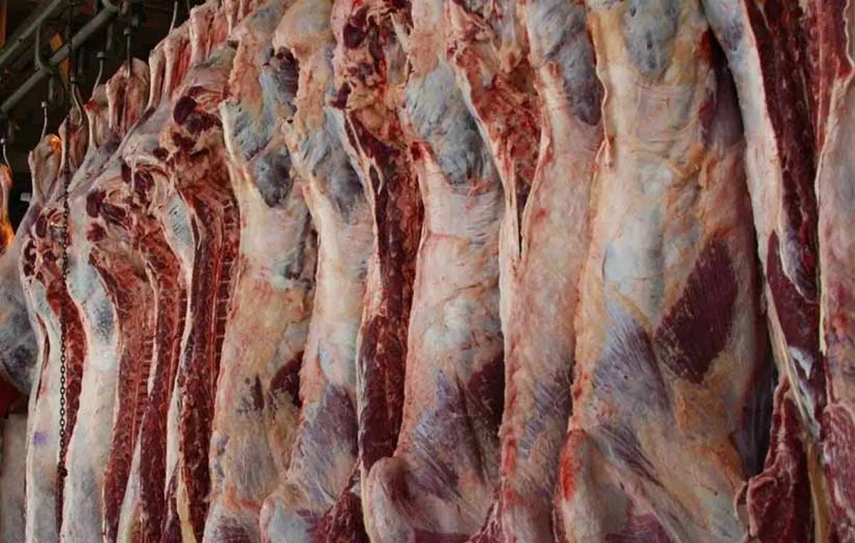 نرخ گوشت گوسفندی در دولت گذشته افزایش ۶۰۸ درصدی داشت + اینفوگرافی