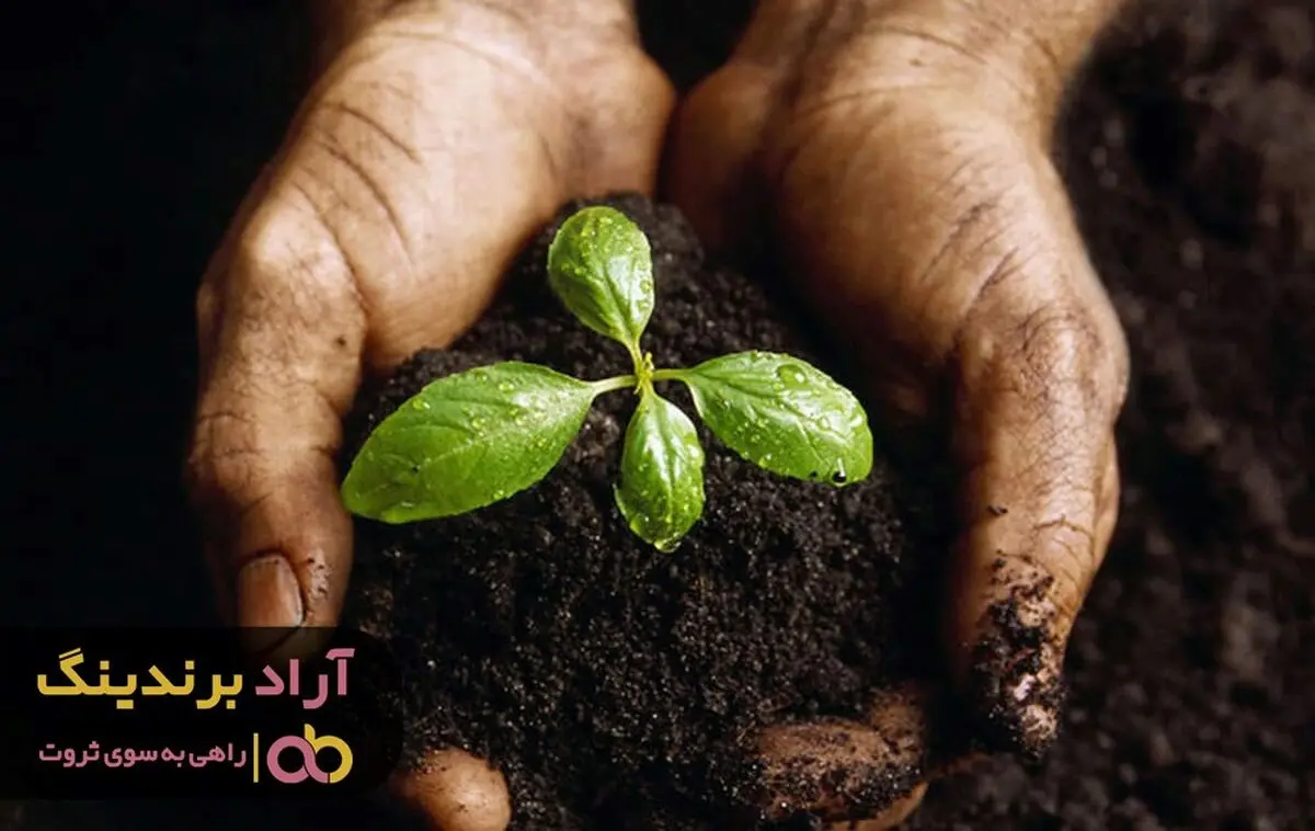 فروش کود سیاه مایع مرغوب در چه مراکزی صورت می گیرد؟