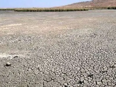 تاریانه خشکسالی بر پیکر تالاب های آذربایجان غربی/بهشت پرندگان ایران خشک شد