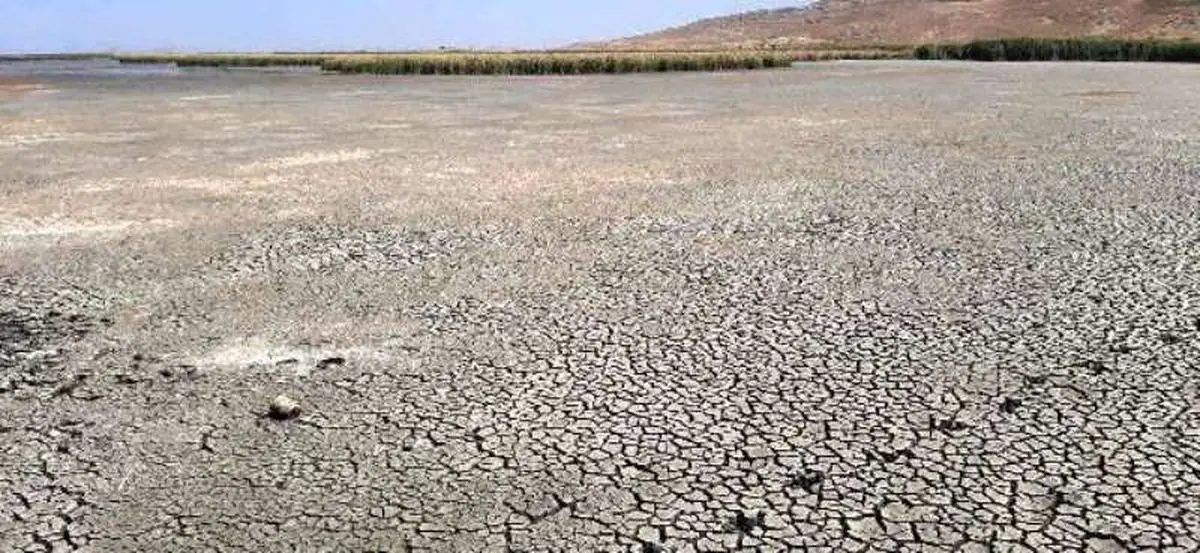 تاریانه خشکسالی بر پیکر تالاب های آذربایجان غربی/بهشت پرندگان ایران خشک شد