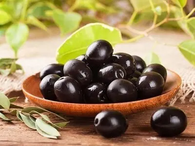 تمام خواص زیتون برای سلامت بدن