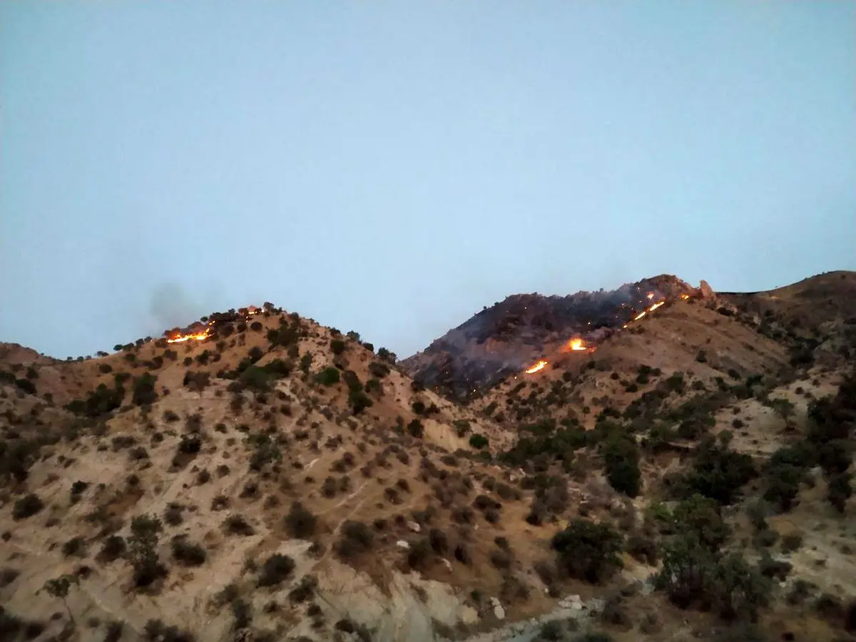 آتشسوزی جنگلهای روستای بانروشان مهار شد