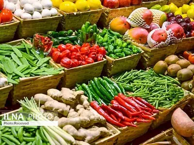 ضرورت ورود صندوق توسعه به بازرگانی کشاورزی