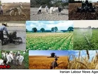رشد ۲۵درصدی مساحت باغات / کاهش ۹درصدی مساحت اراضی زراعی برای کاشت