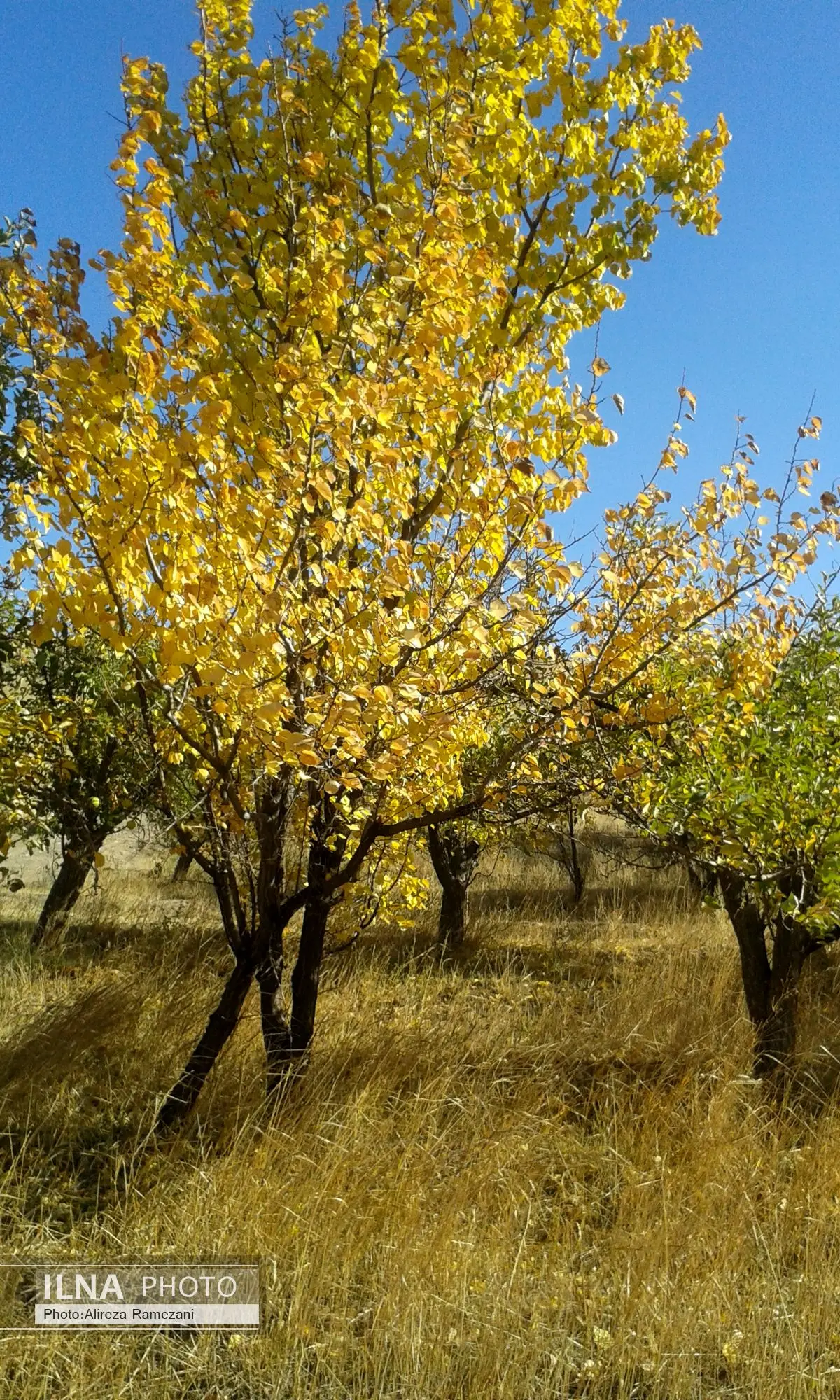 خلع ید اراضی ملی در روستای امین آباد زنجان به مساحت ۷۱ هزار مترمربع