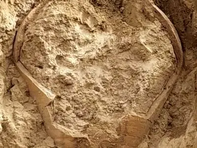 کشف کوزه ساسانی در بوشهر / هیچ‌گونه اشیاء ارزشمندی داخل کوزه وجود نداشته است