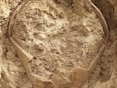 کشف کوزه ساسانی در بوشهر / هیچ‌گونه اشیاء ارزشمندی داخل کوزه وجود نداشته است