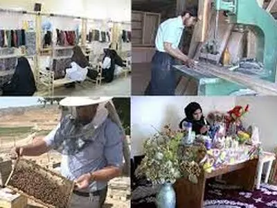 تحقق 78 درصدی برنامه اشتغال تعاونی‌های استان مرکزی /  ایجاد 780 فرصت شغلی در استان 