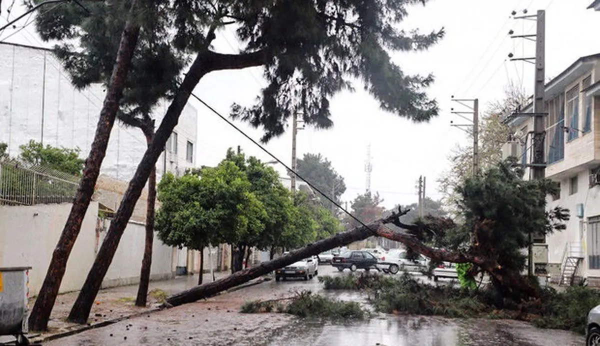 خسارت طوفان و بارندگی به زیرساخت‌های برق عسلویه