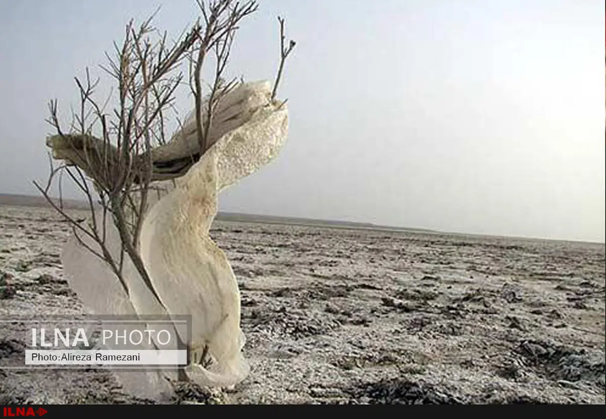 حقآبه داخلی هامون بسیار ناچیز است/ آب مورد نیاز تالاب به سختی تامین می‌شود