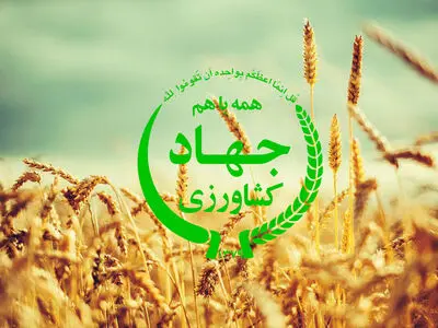 رد ادعای رییس اتحادیه باغداران مازندران توسط وزارت کشاورزی