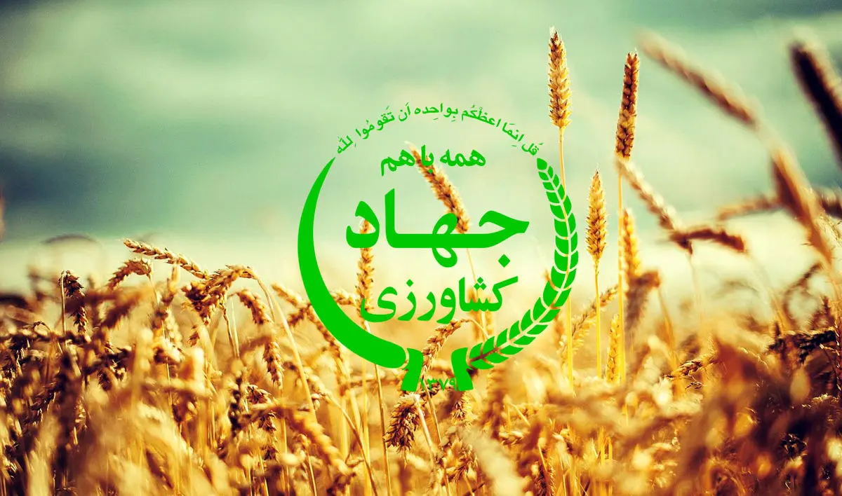 رد ادعای رییس اتحادیه باغداران مازندران توسط وزارت کشاورزی