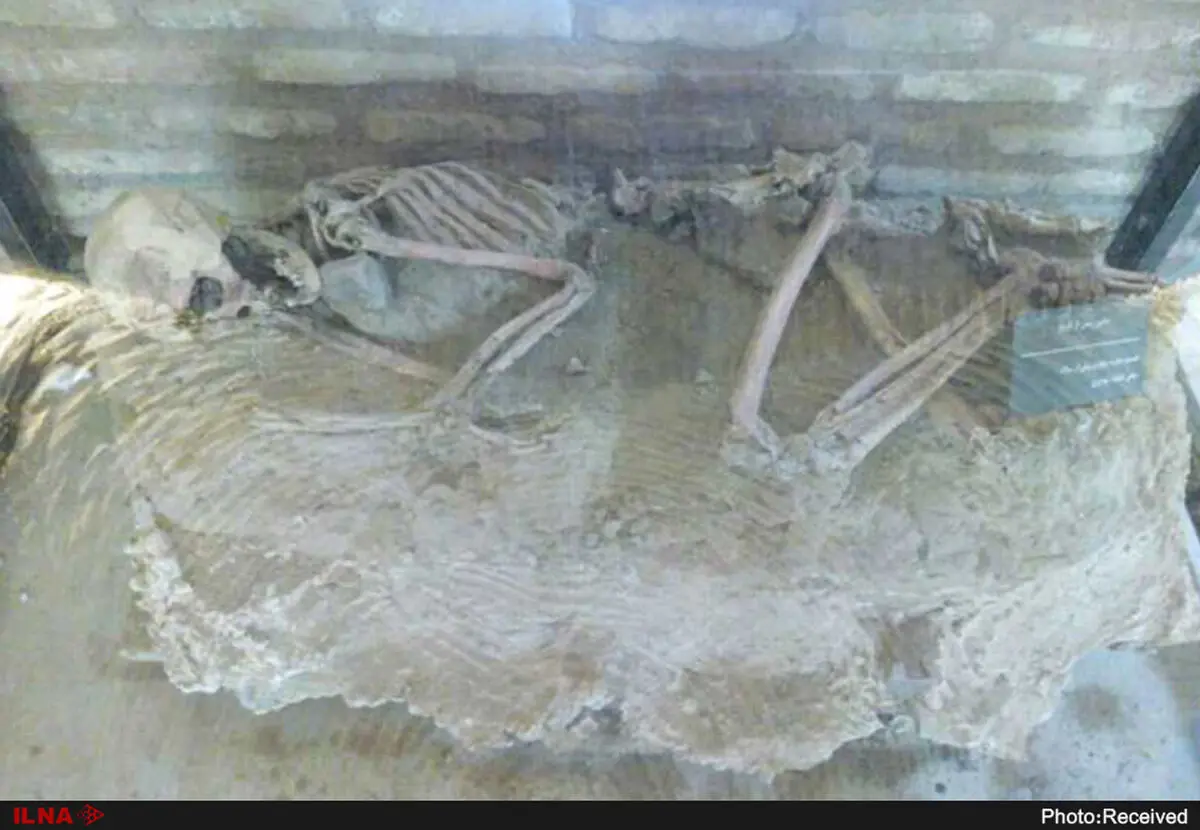 نمایش اسکلت 5 هزار و 500 ساله در موزه نیشابور